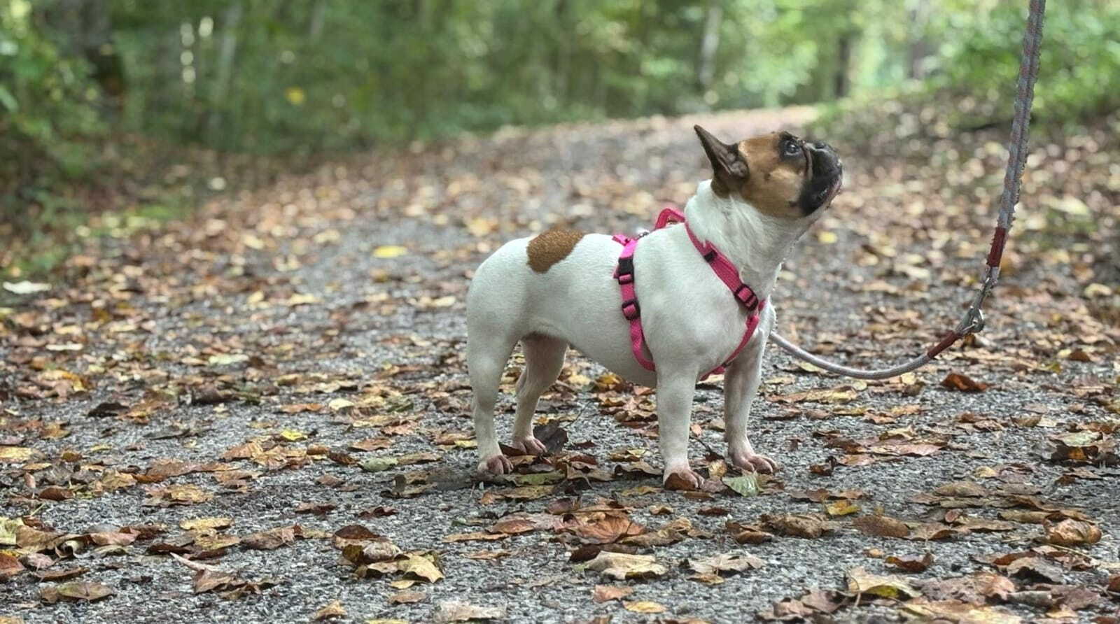 whatsapp_image_2025-10-14_at_09.43.181.jpeg whatsapp_image_2025-10-14_at_09.43.181.jpeg