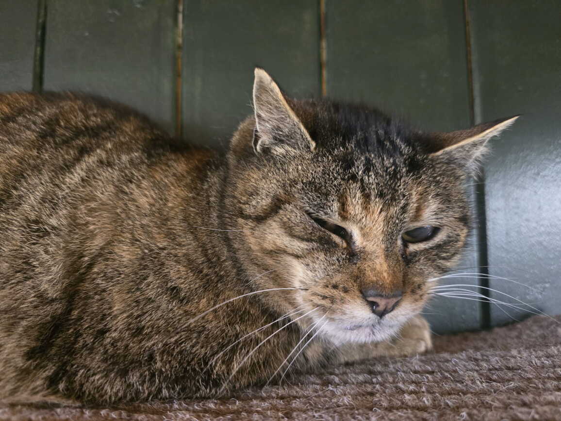 whatsapp_image_2026-03-10_at_14.15.55.jpeg whatsapp_image_2026-03-10_at_14.15.55.jpeg