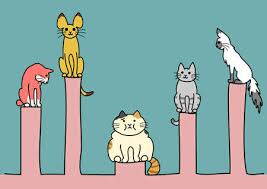 katzen.jpg