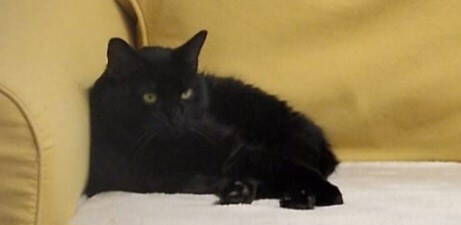 filou_2.jpg filou_2.jpg