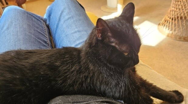 filou_3.jpg filou_3.jpg