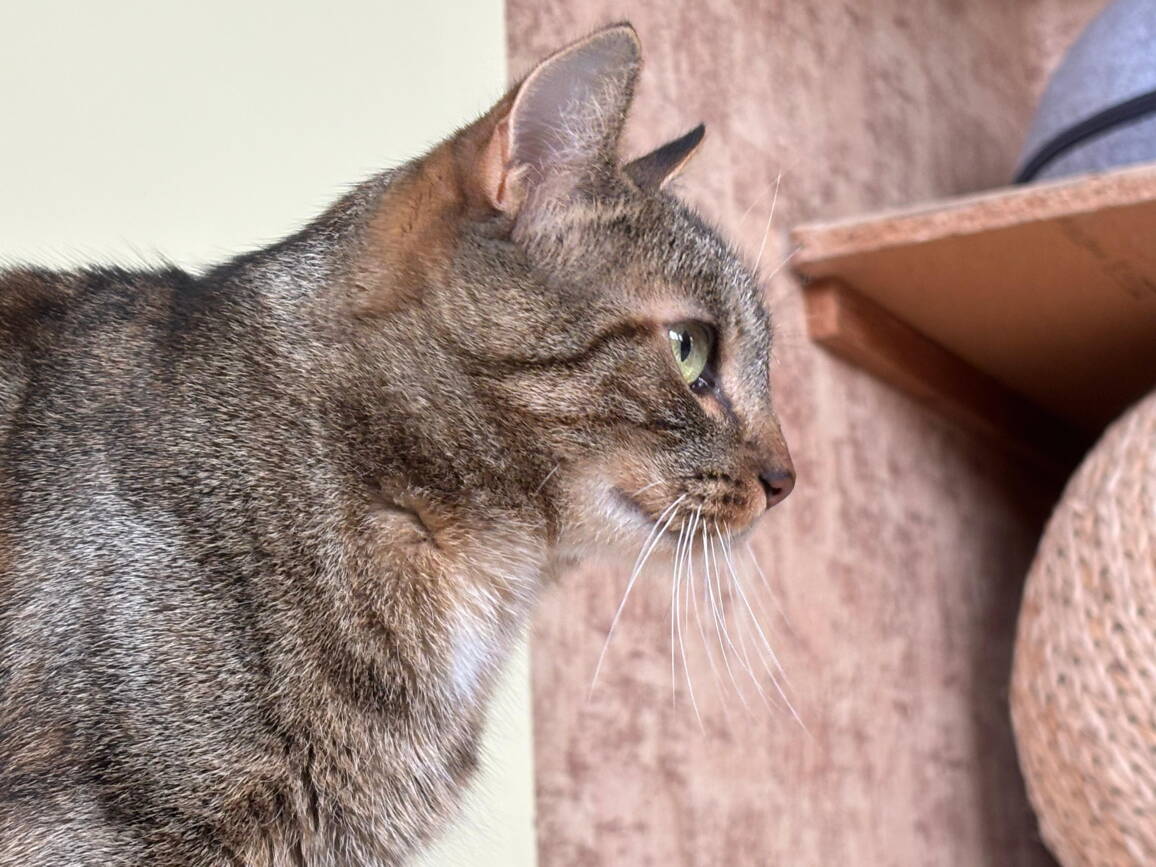 whatsapp_image_2025-10-14_at_14.16.20.jpeg whatsapp_image_2025-10-14_at_14.16.20.jpeg