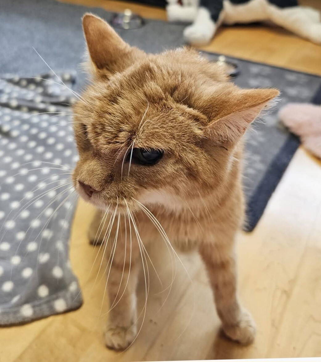 keona_2.jpg keona_2.jpg