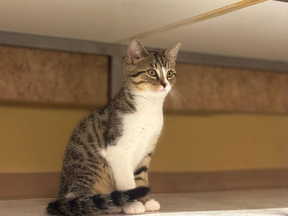 whatsapp_image_2025-10-14_at_14.19.23.jpeg whatsapp_image_2025-10-14_at_14.19.23.jpeg