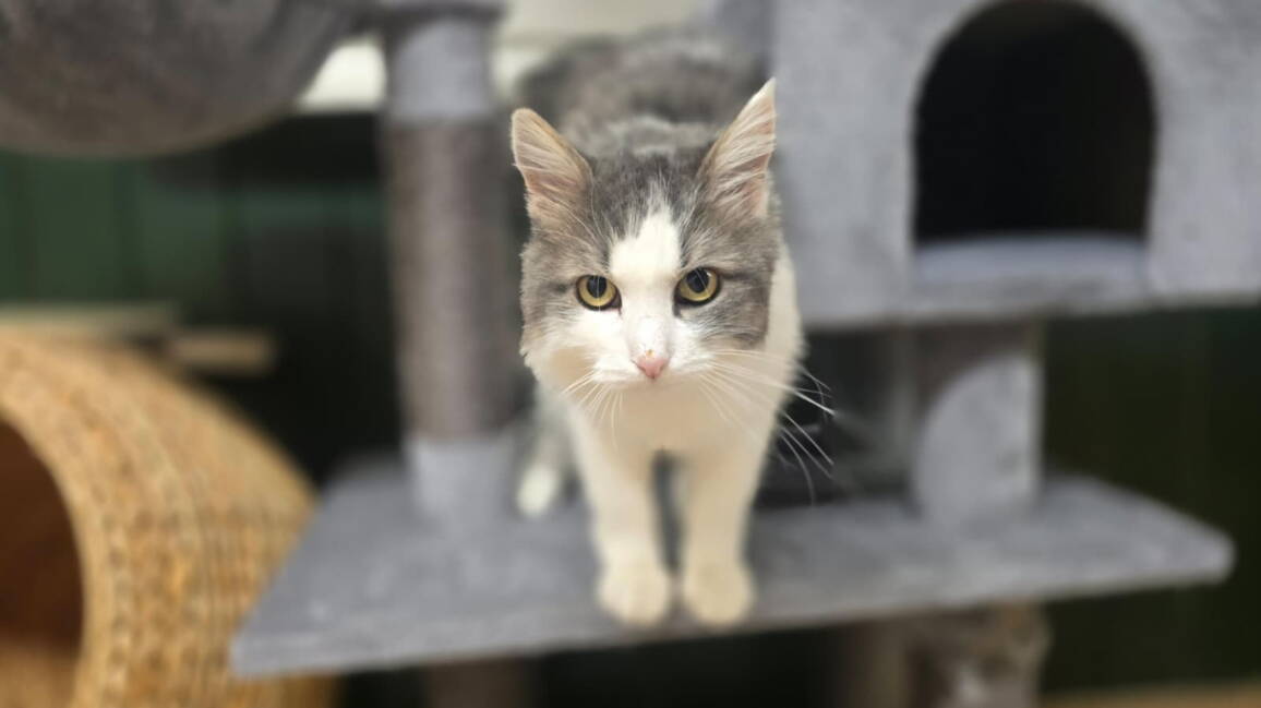 whatsapp_image_2025-10-29_at_17.44.461.jpeg whatsapp_image_2025-10-29_at_17.44.461.jpeg