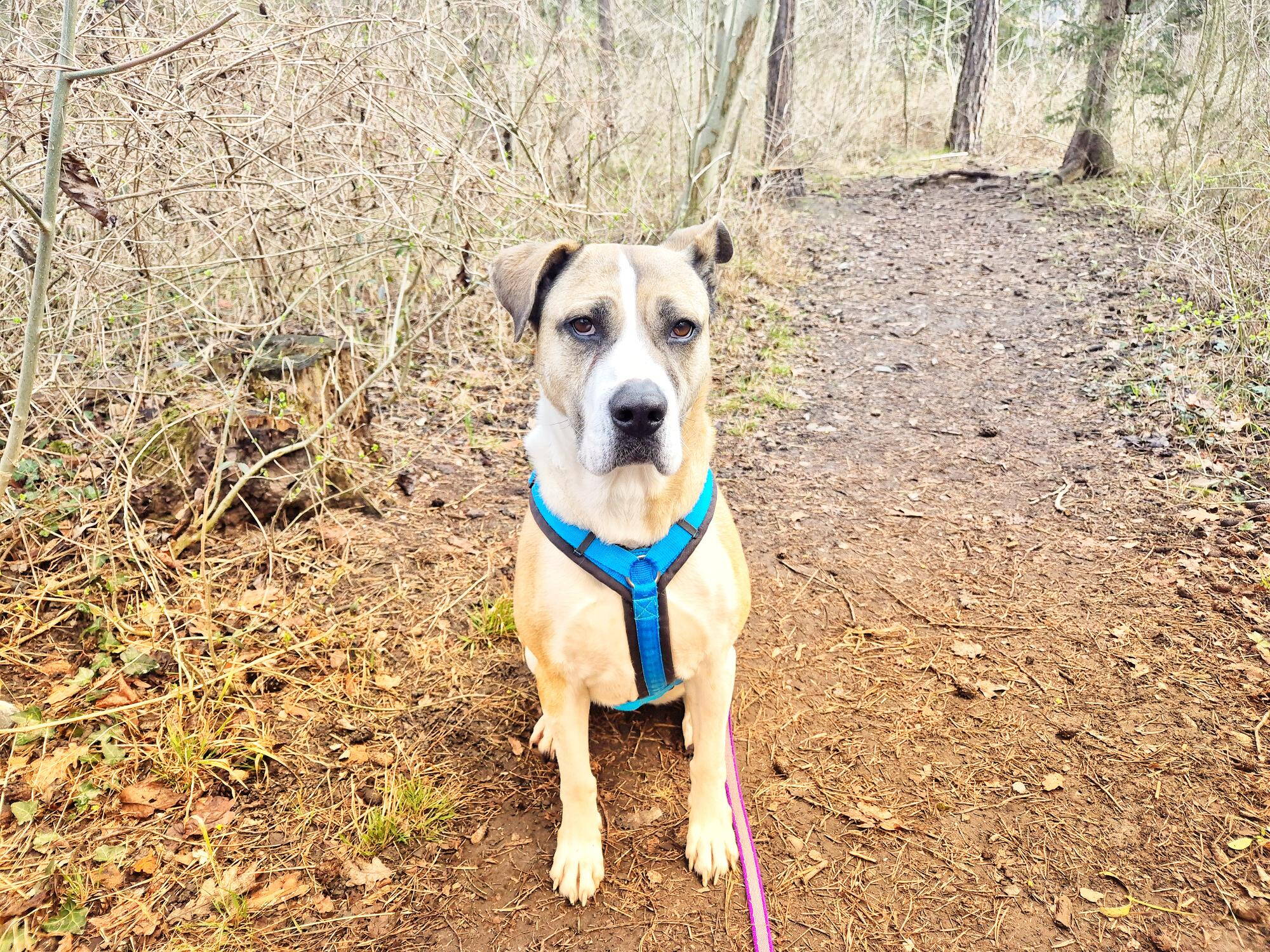 1000102617.jpg 1000102617.jpg