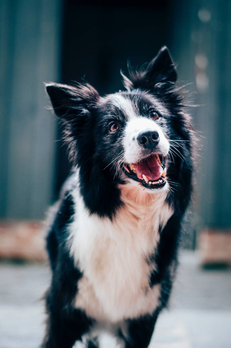 baptist-standaert-mx0denfyxic-unsplash.jpg baptist-standaert-mx0denfyxic-unsplash.jpg