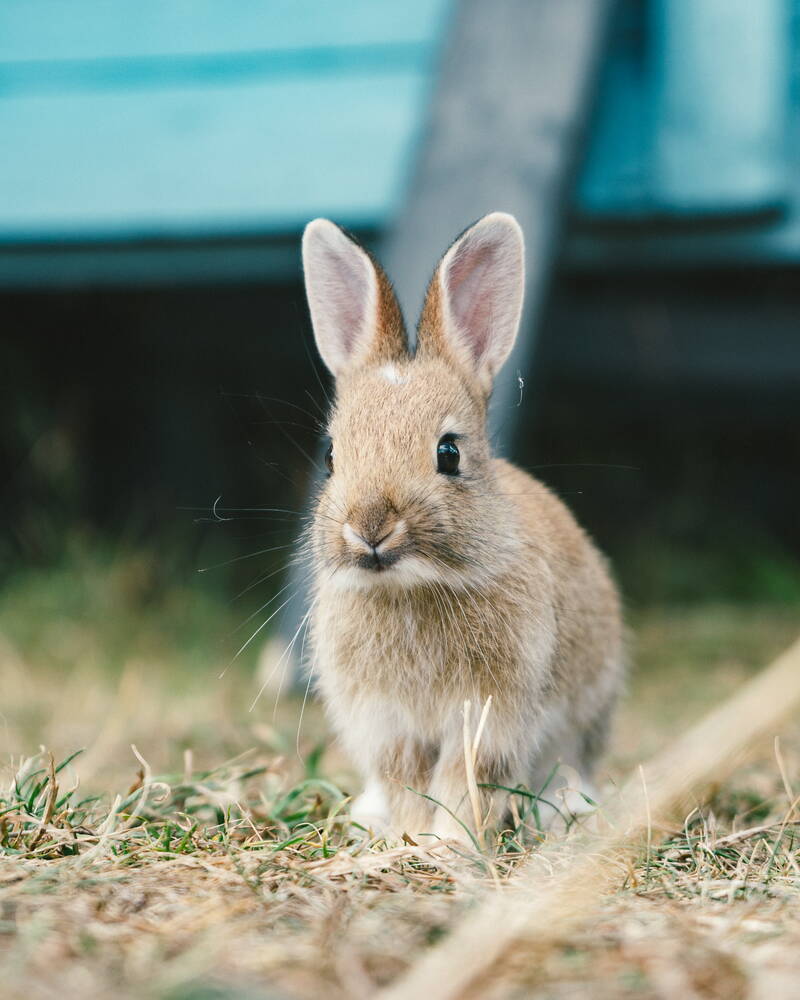 daniel-mccarthy-themccarthy-trrc46lbfwc-unsplash.jpg daniel-mccarthy-themccarthy-trrc46lbfwc-unsplash.jpg
